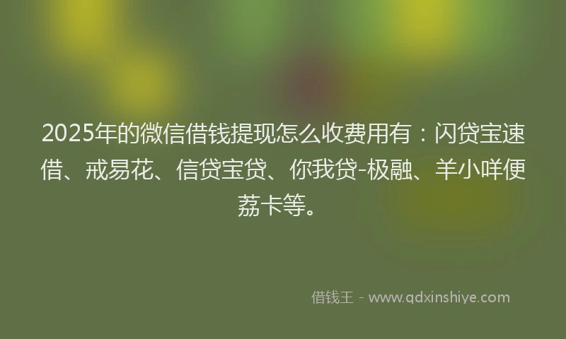 2025年的微信借钱提现怎么收费用有：闪贷宝速借、戒易花、信贷宝贷、你我贷-极融、羊小咩便荔卡等。