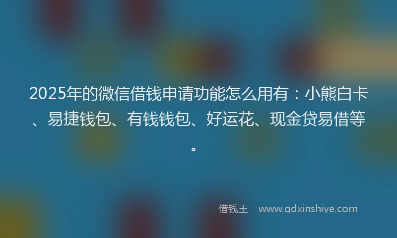 2025年的微信借钱申请功能怎么用有：小熊白卡、易捷钱包、有钱钱包、好运花、现金贷易借等。