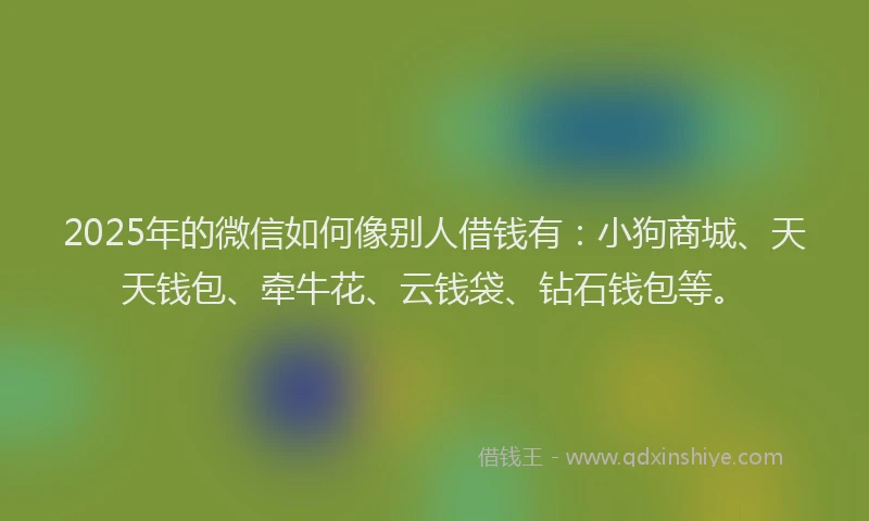 2025年的微信如何像别人借钱有：小狗商城、天天钱包、牵牛花、云钱袋、钻石钱包等。
