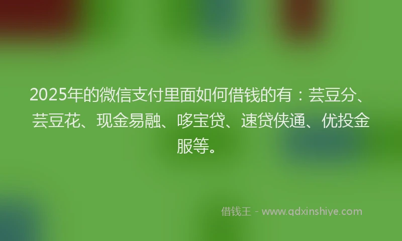 2025年的微信支付里面如何借钱的有：芸豆分、芸豆花、现金易融、哆宝贷、速贷侠通、优投金服等。