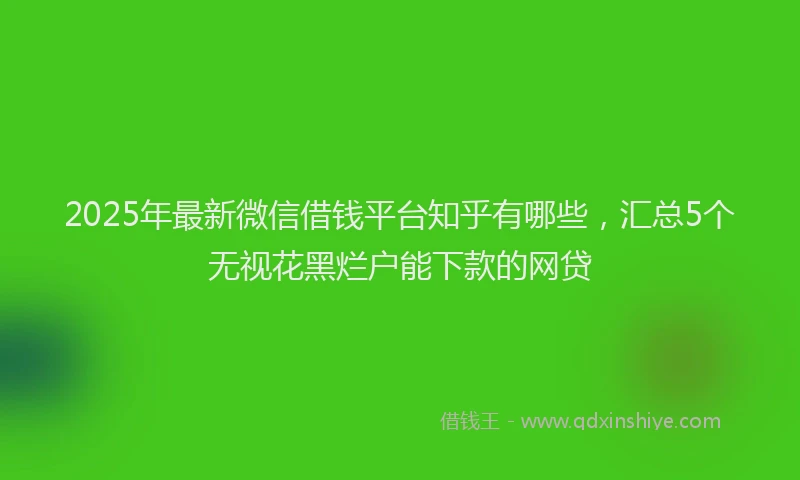2025年最新微信借钱平台知乎有哪些，汇总5个无视花黑烂户能下款的网贷