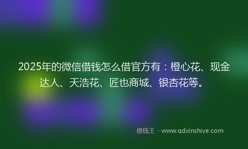 2025年的微信借钱怎么借官方有：橙心花、现金达人、天浩花、匠也商城、银杏花等。