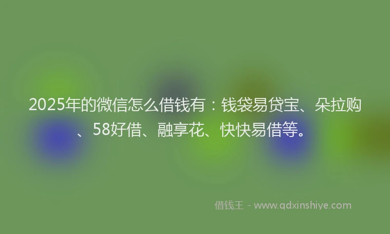 2025年的微信怎么借钱有：钱袋易贷宝、朵拉购、58好借、融享花、快快易借等。