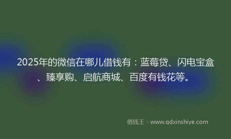 2025年的微信在哪儿借钱有:蓝莓贷、闪电宝盒、臻享购、启航商城、百度有钱花等。