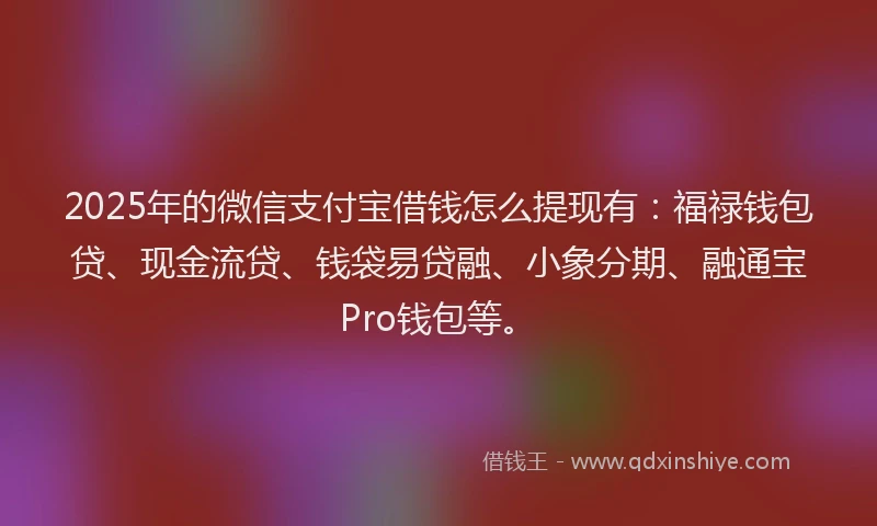 2025年的微信支付宝借钱怎么提现有：福禄钱包贷、现金流贷、钱袋易贷融、小象分期、融通宝Pro钱包等。