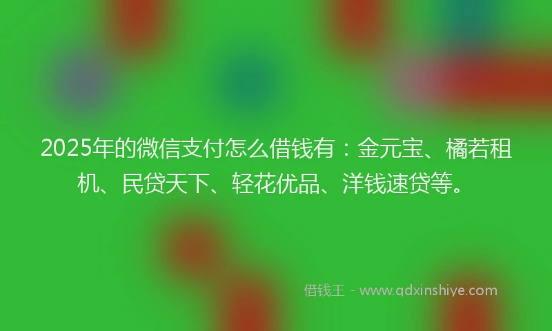 2025年的微信支付怎么借钱有：金元宝、橘若租机、民贷天下、轻花优品、洋钱速贷等。