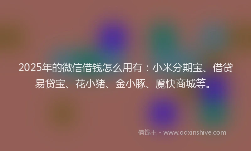 2025年的微信借钱怎么用有：小米分期宝、借贷易贷宝、花小猪、金小豚、魔快商城等。