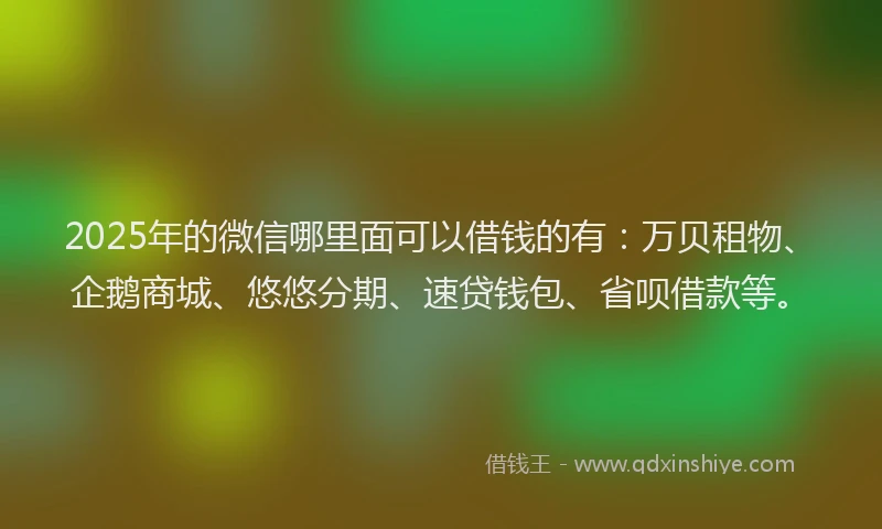 2025年的微信哪里面可以借钱的有：万贝租物、企鹅商城、悠悠分期、速贷钱包、省呗借款等。