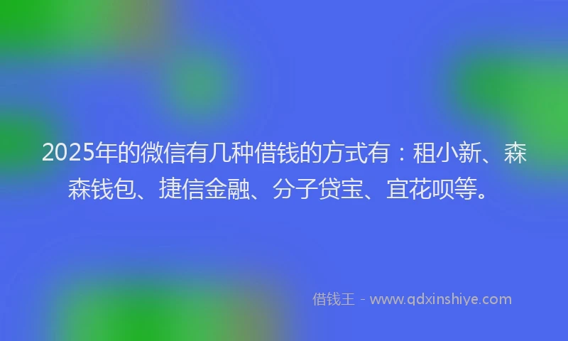 2025年的微信有几种借钱的方式有：租小新、森森钱包、捷信金融、分子贷宝、宜花呗等。