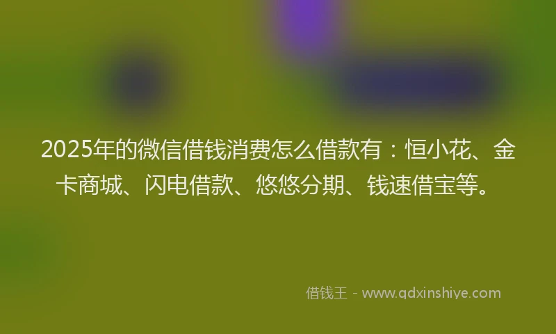 2025年的微信借钱消费怎么借款有：恒小花、金卡商城、闪电借款、悠悠分期、钱速借宝等。