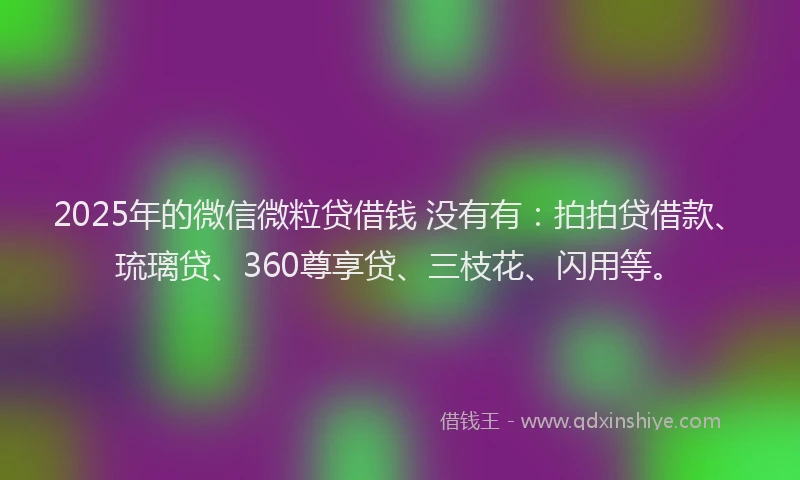 2025年的微信微粒贷借钱 没有有：拍拍贷借款、琉璃贷、360尊享贷、三枝花、闪用等。