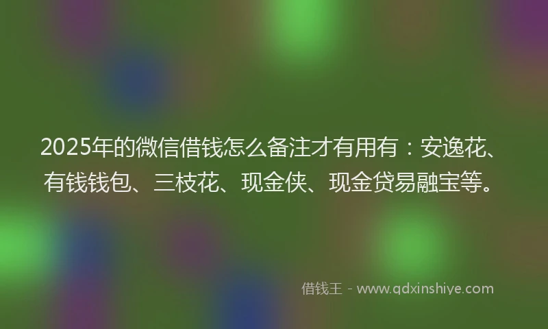 2025年的微信借钱怎么备注才有用有：安逸花、有钱钱包、三枝花、现金侠、现金贷易融宝等。