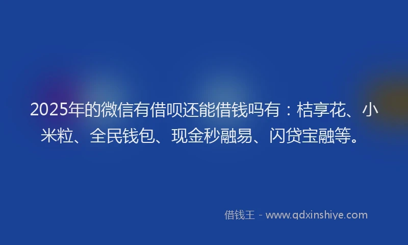 2025年的微信有借呗还能借钱吗有：桔享花、小米粒、全民钱包、现金秒融易、闪贷宝融等。