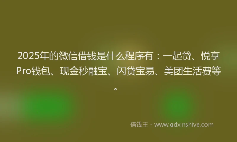 2025年的微信借钱是什么程序有：一起贷、悦享Pro钱包、现金秒融宝、闪贷宝易、美团生活费等。