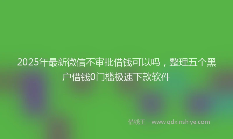 2025年最新微信不审批借钱可以吗，整理五个黑户借钱0门槛极速下款软件