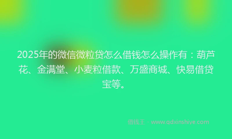 2025年的微信微粒贷怎么借钱怎么操作有：葫芦花、金满堂、小麦粒借款、万盛商城、快易借贷宝等。