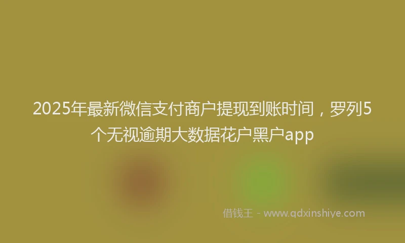 2025年最新微信支付商户提现到账时间，罗列5个无视逾期大数据花户黑户app