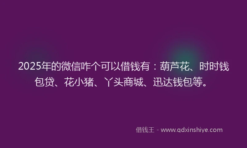 2025年的微信咋个可以借钱有：葫芦花、时时钱包贷、花小猪、丫头商城、迅达钱包等。