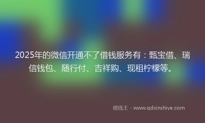 2025年的微信开通不了借钱服务有：甄宝借、瑞信钱包、随行付、吉祥购、现租柠檬等。