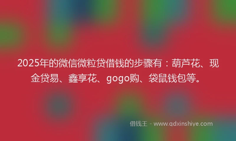 2025年的微信微粒贷借钱的步骤有：葫芦花、现金贷易、鑫享花、gogo购、袋鼠钱包等。