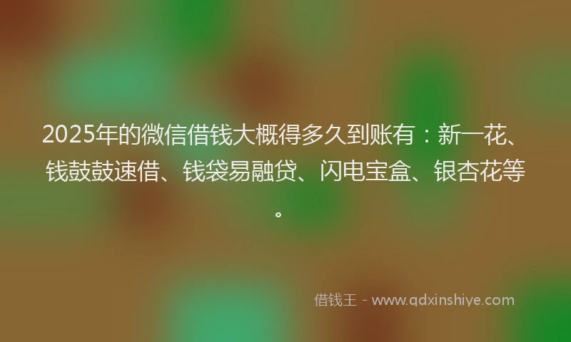 2025年的微信借钱大概得多久到账有：新一花、钱鼓鼓速借、钱袋易融贷、闪电宝盒、银杏花等。