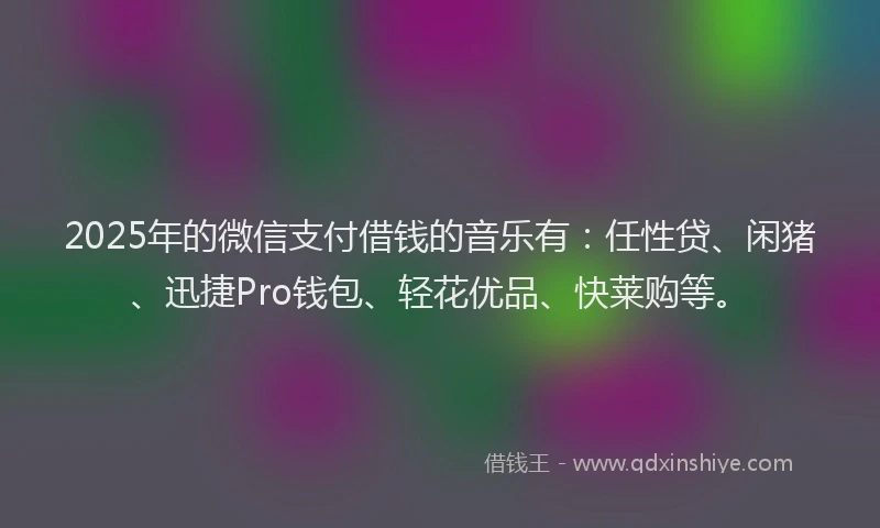 2025年的微信支付借钱的音乐有：任性贷、闲猪、迅捷Pro钱包、轻花优品、快莱购等。