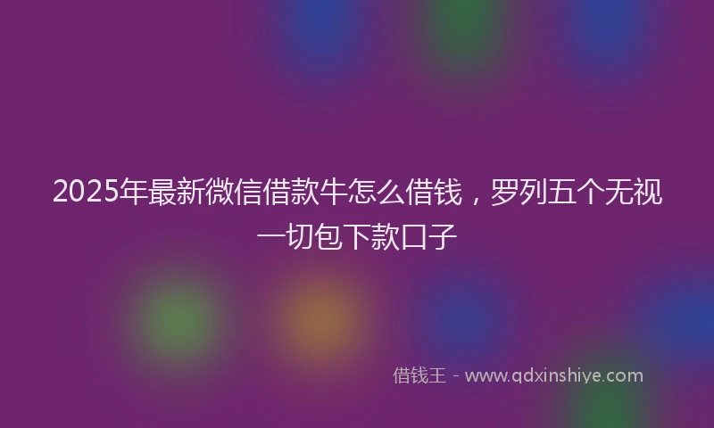 2025年最新微信借款牛怎么借钱，罗列五个无视一切包下款口子