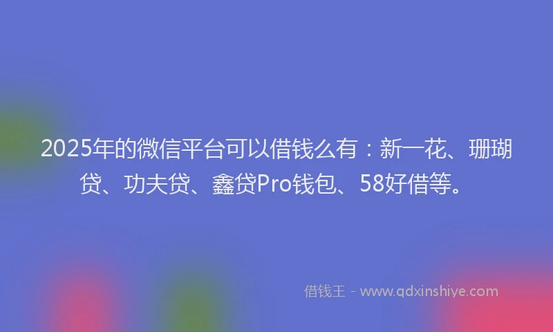 2025年的微信平台可以借钱么有：新一花、珊瑚贷、功夫贷、鑫贷Pro钱包、58好借等。