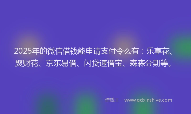 2025年的微信借钱能申请支付令么有：乐享花、聚财花、京东易借、闪贷速借宝、森森分期等。