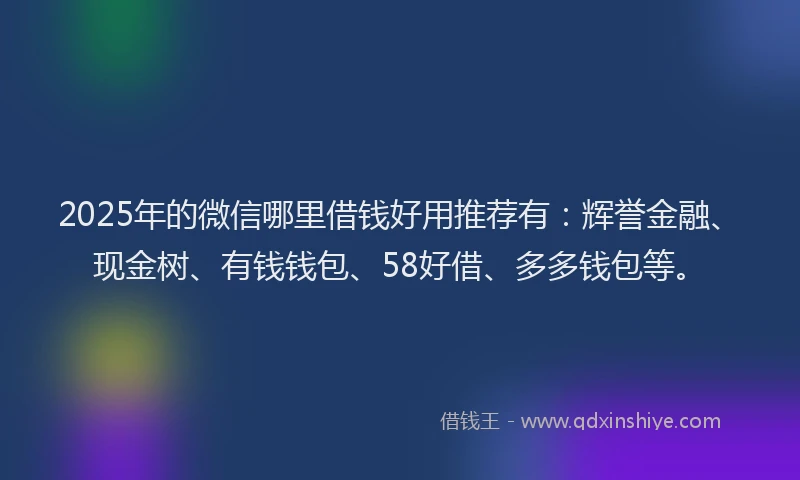 2025年的微信哪里借钱好用推荐有：辉誉金融、现金树、有钱钱包、58好借、多多钱包等。