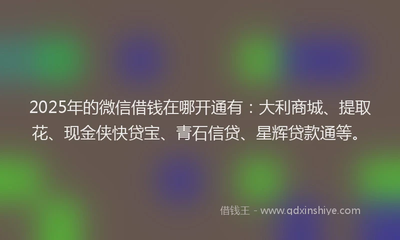 2025年的微信借钱在哪开通有：大利商城、提取花、现金侠快贷宝、青石信贷、星辉贷款通等。