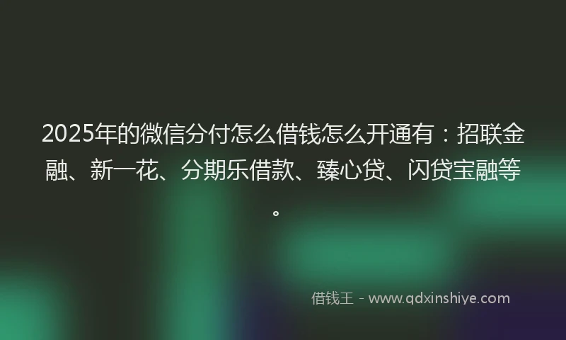 2025年的微信分付怎么借钱怎么开通有：招联金融、新一花、分期乐借款、臻心贷、闪贷宝融等。