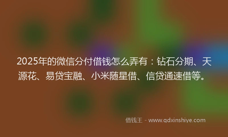 2025年的微信分付借钱怎么弄有：钻石分期、天源花、易贷宝融、小米随星借、信贷通速借等。