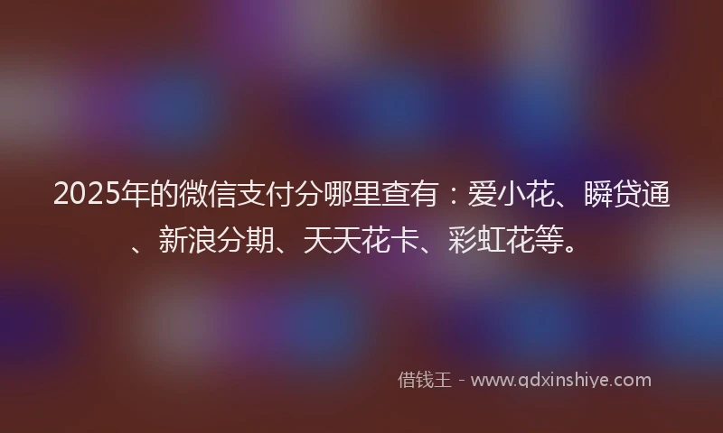 2025年的微信支付分哪里查有：爱小花、瞬贷通、新浪分期、天天花卡、彩虹花等。