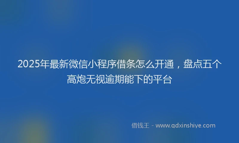 2025年最新微信小程序借条怎么开通，盘点五个高炮无视逾期能下的平台