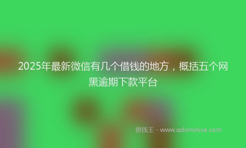 2025年最新微信有几个借钱的地方，概括五个网黑逾期下款平台