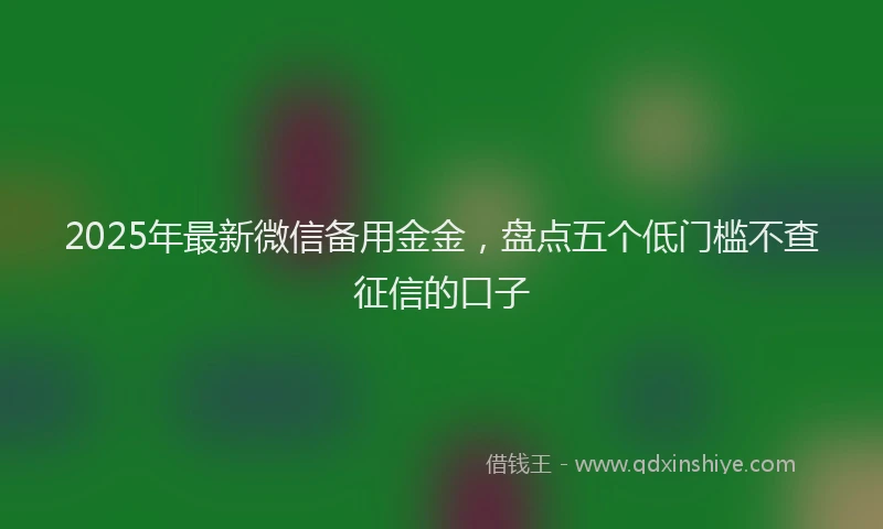 2025年最新微信备用金金，盘点五个低门槛不查征信的口子