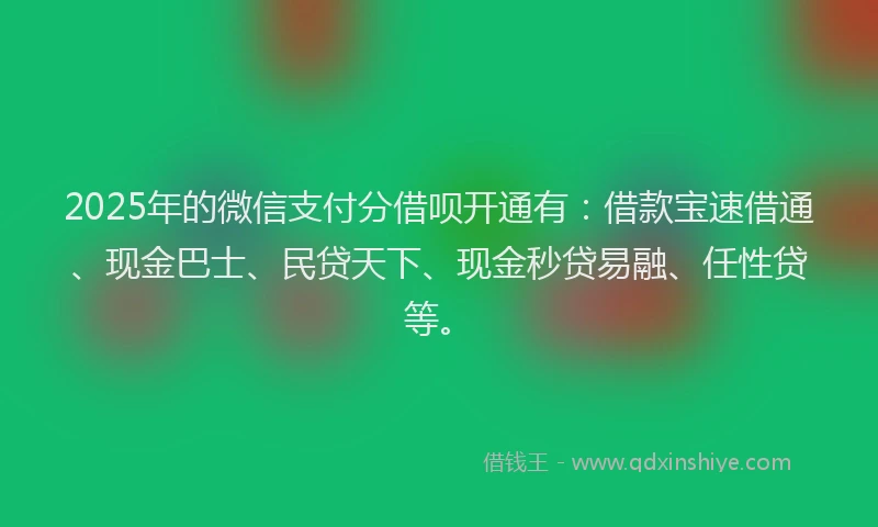 2025年的微信支付分借呗开通有：借款宝速借通、现金巴士、民贷天下、现金秒贷易融、任性贷等。
