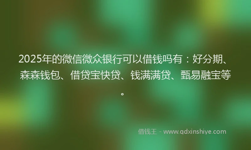 2025年的微信微众银行可以借钱吗有：好分期、森森钱包、借贷宝快贷、钱满满贷、甄易融宝等。