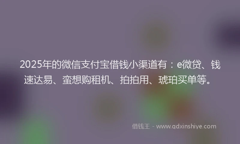 2025年的微信支付宝借钱小渠道有：e微贷、钱速达易、蛮想购租机、拍拍用、琥珀买单等。