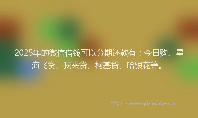 2025年的微信借钱可以分期还款有：今日购、星海飞贷、我来贷、柯基贷、哈银花等。