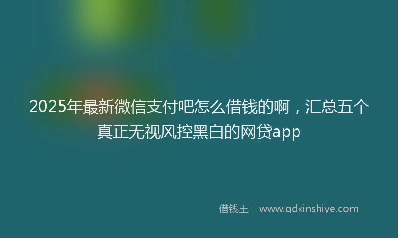 2025年最新微信支付吧怎么借钱的啊，汇总五个真正无视风控黑白的网贷app