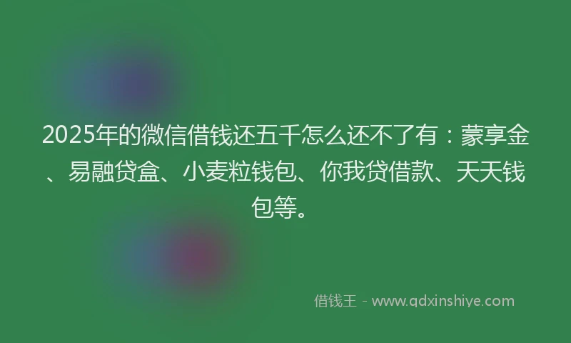 2025年的微信借钱还五千怎么还不了有：蒙享金、易融贷盒、小麦粒钱包、你我贷借款、天天钱包等。