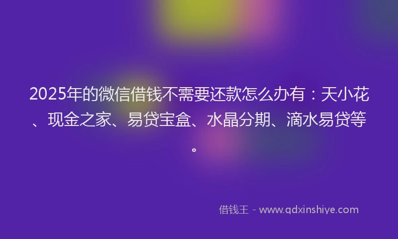 2025年的微信借钱不需要还款怎么办有：天小花、现金之家、易贷宝盒、水晶分期、滴水易贷等。