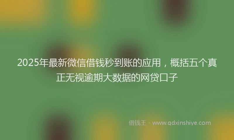 2025年最新微信借钱秒到账的应用，概括五个真正无视逾期大数据的网贷口子