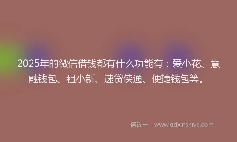 2025年的微信借钱都有什么功能有：爱小花、慧融钱包、租小新、速贷侠通、便捷钱包等。