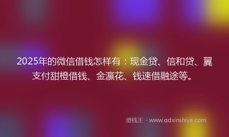 2025年的微信借钱怎样有：现金贷、信和贷、翼支付甜橙借钱、金瀛花、钱速借融途等。