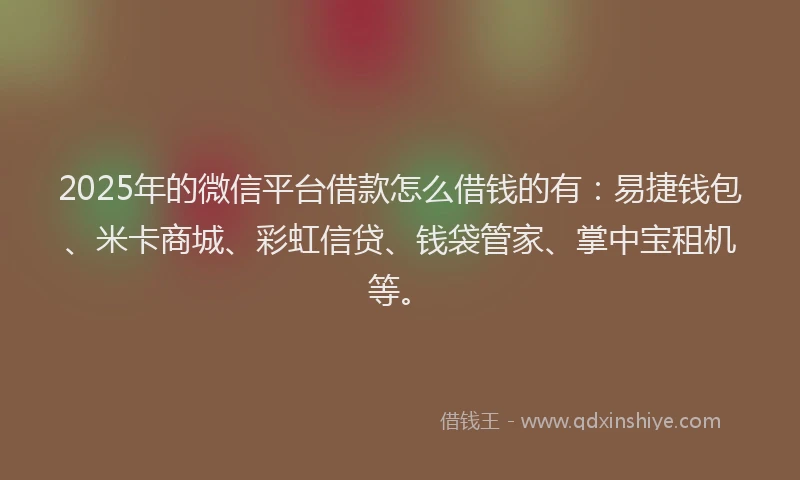2025年的微信平台借款怎么借钱的有：易捷钱包、米卡商城、彩虹信贷、钱袋管家、掌中宝租机等。