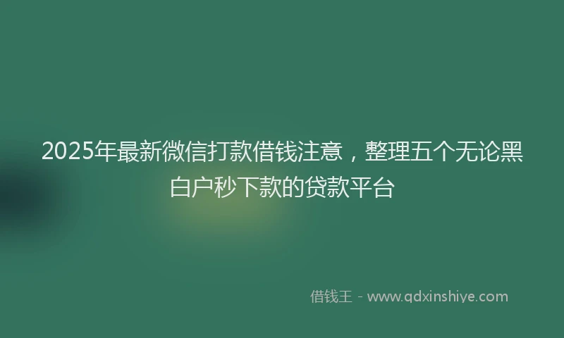 2025年最新微信打款借钱注意，整理五个无论黑白户秒下款的贷款平台