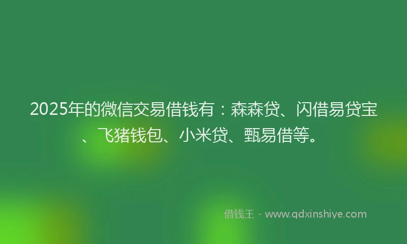 2025年的微信交易借钱有：森森贷、闪借易贷宝、飞猪钱包、小米贷、甄易借等。